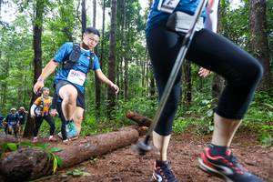 BIB: 8231
                            <button type="button" onclick="openModal(13466672)" class="btn btn-primary btn-sm float-right btn-popup" data-toggle="modal" data-target=".modal-high-quality">
                        <i class="fas fa-shopping-cart"></i> Add to Cart
                    </button>
                                            <button type="button" onclick="isThisMe(13466672, true)" class="btn btn-success btn-sm float-right btn-popup btn-isme hidden" data-toggle="tooltip" data-placement="bottom" title="นี่คือรูปของคุณใช่ไหม คลิกที่นี่เพื่อเอาเข้าอัลบั้ม">
                        <i class="fas fa-plus"></i> Add to album
                    </button>
                    <button type="button" onclick="isThisMe(13466672, false)" class="btn btn-warning btn-sm float-right btn-popup btn-isnotme hidden">
                        <i class="fas fa-ban"></i> Remove from album
                    </button>