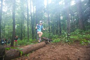 BIB: 
                            <button type="button" onclick="openModal(13465952)" class="btn btn-primary btn-sm float-right btn-popup" data-toggle="modal" data-target=".modal-high-quality">
                        <i class="fas fa-shopping-cart"></i> Add to Cart
                    </button>
                                            <button type="button" onclick="isThisMe(13465952, true)" class="btn btn-success btn-sm float-right btn-popup btn-isme hidden" data-toggle="tooltip" data-placement="bottom" title="นี่คือรูปของคุณใช่ไหม คลิกที่นี่เพื่อเอาเข้าอัลบั้ม">
                        <i class="fas fa-plus"></i> Add to album
                    </button>
                    <button type="button" onclick="isThisMe(13465952, false)" class="btn btn-warning btn-sm float-right btn-popup btn-isnotme hidden">
                        <i class="fas fa-ban"></i> Remove from album
                    </button>