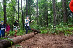 BIB: 
                            <button type="button" onclick="openModal(13466749)" class="btn btn-primary btn-sm float-right btn-popup" data-toggle="modal" data-target=".modal-high-quality">
                        <i class="fas fa-shopping-cart"></i> Add to Cart
                    </button>
                                            <button type="button" onclick="isThisMe(13466749, true)" class="btn btn-success btn-sm float-right btn-popup btn-isme hidden" data-toggle="tooltip" data-placement="bottom" title="นี่คือรูปของคุณใช่ไหม คลิกที่นี่เพื่อเอาเข้าอัลบั้ม">
                        <i class="fas fa-plus"></i> Add to album
                    </button>
                    <button type="button" onclick="isThisMe(13466749, false)" class="btn btn-warning btn-sm float-right btn-popup btn-isnotme hidden">
                        <i class="fas fa-ban"></i> Remove from album
                    </button>