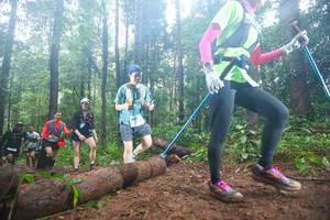 BIB: 
                            <button type="button" onclick="openModal(13465936)" class="btn btn-primary btn-sm float-right btn-popup" data-toggle="modal" data-target=".modal-high-quality">
                        <i class="fas fa-shopping-cart"></i> Add to Cart
                    </button>
                                            <button type="button" onclick="isThisMe(13465936, true)" class="btn btn-success btn-sm float-right btn-popup btn-isme hidden" data-toggle="tooltip" data-placement="bottom" title="นี่คือรูปของคุณใช่ไหม คลิกที่นี่เพื่อเอาเข้าอัลบั้ม">
                        <i class="fas fa-plus"></i> Add to album
                    </button>
                    <button type="button" onclick="isThisMe(13465936, false)" class="btn btn-warning btn-sm float-right btn-popup btn-isnotme hidden">
                        <i class="fas fa-ban"></i> Remove from album
                    </button>