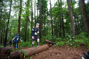 BIB: 
                            <button type="button" onclick="openModal(13466152)" class="btn btn-primary btn-sm float-right btn-popup" data-toggle="modal" data-target=".modal-high-quality">
                        <i class="fas fa-shopping-cart"></i> Add to Cart
                    </button>
                                            <button type="button" onclick="isThisMe(13466152, true)" class="btn btn-success btn-sm float-right btn-popup btn-isme hidden" data-toggle="tooltip" data-placement="bottom" title="นี่คือรูปของคุณใช่ไหม คลิกที่นี่เพื่อเอาเข้าอัลบั้ม">
                        <i class="fas fa-plus"></i> Add to album
                    </button>
                    <button type="button" onclick="isThisMe(13466152, false)" class="btn btn-warning btn-sm float-right btn-popup btn-isnotme hidden">
                        <i class="fas fa-ban"></i> Remove from album
                    </button>