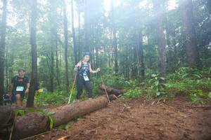 BIB: 
                            <button type="button" onclick="openModal(13465957)" class="btn btn-primary btn-sm float-right btn-popup" data-toggle="modal" data-target=".modal-high-quality">
                        <i class="fas fa-shopping-cart"></i> Add to Cart
                    </button>
                                            <button type="button" onclick="isThisMe(13465957, true)" class="btn btn-success btn-sm float-right btn-popup btn-isme hidden" data-toggle="tooltip" data-placement="bottom" title="นี่คือรูปของคุณใช่ไหม คลิกที่นี่เพื่อเอาเข้าอัลบั้ม">
                        <i class="fas fa-plus"></i> Add to album
                    </button>
                    <button type="button" onclick="isThisMe(13465957, false)" class="btn btn-warning btn-sm float-right btn-popup btn-isnotme hidden">
                        <i class="fas fa-ban"></i> Remove from album
                    </button>