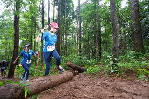 BIB: 8401
                            <button type="button" onclick="openModal(13466645)" class="btn btn-primary btn-sm float-right btn-popup" data-toggle="modal" data-target=".modal-high-quality">
                        <i class="fas fa-shopping-cart"></i> Add to Cart
                    </button>
                                            <button type="button" onclick="isThisMe(13466645, true)" class="btn btn-success btn-sm float-right btn-popup btn-isme hidden" data-toggle="tooltip" data-placement="bottom" title="นี่คือรูปของคุณใช่ไหม คลิกที่นี่เพื่อเอาเข้าอัลบั้ม">
                        <i class="fas fa-plus"></i> Add to album
                    </button>
                    <button type="button" onclick="isThisMe(13466645, false)" class="btn btn-warning btn-sm float-right btn-popup btn-isnotme hidden">
                        <i class="fas fa-ban"></i> Remove from album
                    </button>