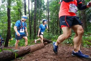 BIB: 8036
                            <button type="button" onclick="openModal(13466639)" class="btn btn-primary btn-sm float-right btn-popup" data-toggle="modal" data-target=".modal-high-quality">
                        <i class="fas fa-shopping-cart"></i> Add to Cart
                    </button>
                                            <button type="button" onclick="isThisMe(13466639, true)" class="btn btn-success btn-sm float-right btn-popup btn-isme hidden" data-toggle="tooltip" data-placement="bottom" title="นี่คือรูปของคุณใช่ไหม คลิกที่นี่เพื่อเอาเข้าอัลบั้ม">
                        <i class="fas fa-plus"></i> Add to album
                    </button>
                    <button type="button" onclick="isThisMe(13466639, false)" class="btn btn-warning btn-sm float-right btn-popup btn-isnotme hidden">
                        <i class="fas fa-ban"></i> Remove from album
                    </button>