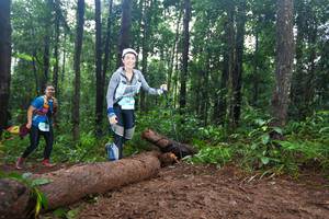 BIB: 
                            <button type="button" onclick="openModal(13466016)" class="btn btn-primary btn-sm float-right btn-popup" data-toggle="modal" data-target=".modal-high-quality">
                        <i class="fas fa-shopping-cart"></i> Add to Cart
                    </button>
                                            <button type="button" onclick="isThisMe(13466016, true)" class="btn btn-success btn-sm float-right btn-popup btn-isme hidden" data-toggle="tooltip" data-placement="bottom" title="นี่คือรูปของคุณใช่ไหม คลิกที่นี่เพื่อเอาเข้าอัลบั้ม">
                        <i class="fas fa-plus"></i> Add to album
                    </button>
                    <button type="button" onclick="isThisMe(13466016, false)" class="btn btn-warning btn-sm float-right btn-popup btn-isnotme hidden">
                        <i class="fas fa-ban"></i> Remove from album
                    </button>