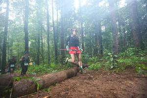 BIB: 
                            <button type="button" onclick="openModal(13465959)" class="btn btn-primary btn-sm float-right btn-popup" data-toggle="modal" data-target=".modal-high-quality">
                        <i class="fas fa-shopping-cart"></i> Add to Cart
                    </button>
                                            <button type="button" onclick="isThisMe(13465959, true)" class="btn btn-success btn-sm float-right btn-popup btn-isme hidden" data-toggle="tooltip" data-placement="bottom" title="นี่คือรูปของคุณใช่ไหม คลิกที่นี่เพื่อเอาเข้าอัลบั้ม">
                        <i class="fas fa-plus"></i> Add to album
                    </button>
                    <button type="button" onclick="isThisMe(13465959, false)" class="btn btn-warning btn-sm float-right btn-popup btn-isnotme hidden">
                        <i class="fas fa-ban"></i> Remove from album
                    </button>