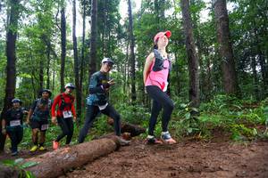 BIB: 
                            <button type="button" onclick="openModal(13467132)" class="btn btn-primary btn-sm float-right btn-popup" data-toggle="modal" data-target=".modal-high-quality">
                        <i class="fas fa-shopping-cart"></i> Add to Cart
                    </button>
                                            <button type="button" onclick="isThisMe(13467132, true)" class="btn btn-success btn-sm float-right btn-popup btn-isme hidden" data-toggle="tooltip" data-placement="bottom" title="นี่คือรูปของคุณใช่ไหม คลิกที่นี่เพื่อเอาเข้าอัลบั้ม">
                        <i class="fas fa-plus"></i> Add to album
                    </button>
                    <button type="button" onclick="isThisMe(13467132, false)" class="btn btn-warning btn-sm float-right btn-popup btn-isnotme hidden">
                        <i class="fas fa-ban"></i> Remove from album
                    </button>