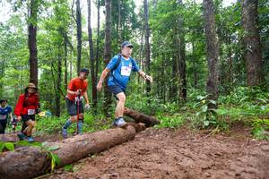 BIB: 
                            <button type="button" onclick="openModal(13466503)" class="btn btn-primary btn-sm float-right btn-popup" data-toggle="modal" data-target=".modal-high-quality">
                        <i class="fas fa-shopping-cart"></i> Add to Cart
                    </button>
                                            <button type="button" onclick="isThisMe(13466503, true)" class="btn btn-success btn-sm float-right btn-popup btn-isme hidden" data-toggle="tooltip" data-placement="bottom" title="นี่คือรูปของคุณใช่ไหม คลิกที่นี่เพื่อเอาเข้าอัลบั้ม">
                        <i class="fas fa-plus"></i> Add to album
                    </button>
                    <button type="button" onclick="isThisMe(13466503, false)" class="btn btn-warning btn-sm float-right btn-popup btn-isnotme hidden">
                        <i class="fas fa-ban"></i> Remove from album
                    </button>