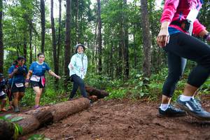 BIB: 
                            <button type="button" onclick="openModal(13466917)" class="btn btn-primary btn-sm float-right btn-popup" data-toggle="modal" data-target=".modal-high-quality">
                        <i class="fas fa-shopping-cart"></i> Add to Cart
                    </button>
                                            <button type="button" onclick="isThisMe(13466917, true)" class="btn btn-success btn-sm float-right btn-popup btn-isme hidden" data-toggle="tooltip" data-placement="bottom" title="นี่คือรูปของคุณใช่ไหม คลิกที่นี่เพื่อเอาเข้าอัลบั้ม">
                        <i class="fas fa-plus"></i> Add to album
                    </button>
                    <button type="button" onclick="isThisMe(13466917, false)" class="btn btn-warning btn-sm float-right btn-popup btn-isnotme hidden">
                        <i class="fas fa-ban"></i> Remove from album
                    </button>