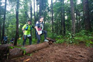 BIB: 247
                            <button type="button" onclick="openModal(13466079)" class="btn btn-primary btn-sm float-right btn-popup" data-toggle="modal" data-target=".modal-high-quality">
                        <i class="fas fa-shopping-cart"></i> Add to Cart
                    </button>
                                            <button type="button" onclick="isThisMe(13466079, true)" class="btn btn-success btn-sm float-right btn-popup btn-isme hidden" data-toggle="tooltip" data-placement="bottom" title="นี่คือรูปของคุณใช่ไหม คลิกที่นี่เพื่อเอาเข้าอัลบั้ม">
                        <i class="fas fa-plus"></i> Add to album
                    </button>
                    <button type="button" onclick="isThisMe(13466079, false)" class="btn btn-warning btn-sm float-right btn-popup btn-isnotme hidden">
                        <i class="fas fa-ban"></i> Remove from album
                    </button>