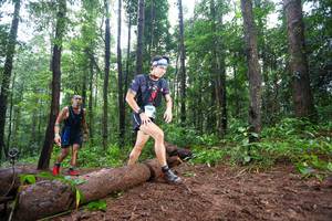 BIB: 1640
                            <button type="button" onclick="openModal(13465268)" class="btn btn-primary btn-sm float-right btn-popup" data-toggle="modal" data-target=".modal-high-quality">
                        <i class="fas fa-shopping-cart"></i> Add to Cart
                    </button>
                                            <button type="button" onclick="isThisMe(13465268, true)" class="btn btn-success btn-sm float-right btn-popup btn-isme hidden" data-toggle="tooltip" data-placement="bottom" title="นี่คือรูปของคุณใช่ไหม คลิกที่นี่เพื่อเอาเข้าอัลบั้ม">
                        <i class="fas fa-plus"></i> Add to album
                    </button>
                    <button type="button" onclick="isThisMe(13465268, false)" class="btn btn-warning btn-sm float-right btn-popup btn-isnotme hidden">
                        <i class="fas fa-ban"></i> Remove from album
                    </button>