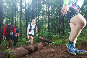 BIB: 143
                            <button type="button" onclick="openModal(13466027)" class="btn btn-primary btn-sm float-right btn-popup" data-toggle="modal" data-target=".modal-high-quality">
                        <i class="fas fa-shopping-cart"></i> Add to Cart
                    </button>
                                            <button type="button" onclick="isThisMe(13466027, true)" class="btn btn-success btn-sm float-right btn-popup btn-isme hidden" data-toggle="tooltip" data-placement="bottom" title="นี่คือรูปของคุณใช่ไหม คลิกที่นี่เพื่อเอาเข้าอัลบั้ม">
                        <i class="fas fa-plus"></i> Add to album
                    </button>
                    <button type="button" onclick="isThisMe(13466027, false)" class="btn btn-warning btn-sm float-right btn-popup btn-isnotme hidden">
                        <i class="fas fa-ban"></i> Remove from album
                    </button>