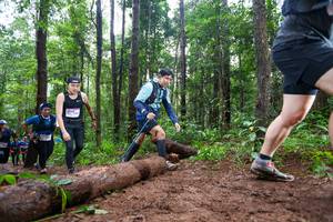 BIB: 
                            <button type="button" onclick="openModal(13466691)" class="btn btn-primary btn-sm float-right btn-popup" data-toggle="modal" data-target=".modal-high-quality">
                        <i class="fas fa-shopping-cart"></i> Add to Cart
                    </button>
                                            <button type="button" onclick="isThisMe(13466691, true)" class="btn btn-success btn-sm float-right btn-popup btn-isme hidden" data-toggle="tooltip" data-placement="bottom" title="นี่คือรูปของคุณใช่ไหม คลิกที่นี่เพื่อเอาเข้าอัลบั้ม">
                        <i class="fas fa-plus"></i> Add to album
                    </button>
                    <button type="button" onclick="isThisMe(13466691, false)" class="btn btn-warning btn-sm float-right btn-popup btn-isnotme hidden">
                        <i class="fas fa-ban"></i> Remove from album
                    </button>