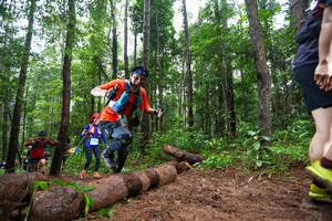 BIB: 
                            <button type="button" onclick="openModal(13465757)" class="btn btn-primary btn-sm float-right btn-popup" data-toggle="modal" data-target=".modal-high-quality">
                        <i class="fas fa-shopping-cart"></i> Add to Cart
                    </button>
                                            <button type="button" onclick="isThisMe(13465757, true)" class="btn btn-success btn-sm float-right btn-popup btn-isme hidden" data-toggle="tooltip" data-placement="bottom" title="นี่คือรูปของคุณใช่ไหม คลิกที่นี่เพื่อเอาเข้าอัลบั้ม">
                        <i class="fas fa-plus"></i> Add to album
                    </button>
                    <button type="button" onclick="isThisMe(13465757, false)" class="btn btn-warning btn-sm float-right btn-popup btn-isnotme hidden">
                        <i class="fas fa-ban"></i> Remove from album
                    </button>