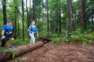 BIB: 
                            <button type="button" onclick="openModal(13466765)" class="btn btn-primary btn-sm float-right btn-popup" data-toggle="modal" data-target=".modal-high-quality">
                        <i class="fas fa-shopping-cart"></i> Add to Cart
                    </button>
                                            <button type="button" onclick="isThisMe(13466765, true)" class="btn btn-success btn-sm float-right btn-popup btn-isme hidden" data-toggle="tooltip" data-placement="bottom" title="นี่คือรูปของคุณใช่ไหม คลิกที่นี่เพื่อเอาเข้าอัลบั้ม">
                        <i class="fas fa-plus"></i> Add to album
                    </button>
                    <button type="button" onclick="isThisMe(13466765, false)" class="btn btn-warning btn-sm float-right btn-popup btn-isnotme hidden">
                        <i class="fas fa-ban"></i> Remove from album
                    </button>