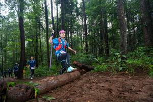 BIB: 
                            <button type="button" onclick="openModal(13458475)" class="btn btn-primary btn-sm float-right btn-popup" data-toggle="modal" data-target=".modal-high-quality">
                        <i class="fas fa-shopping-cart"></i> Add to Cart
                    </button>
                                            <button type="button" onclick="isThisMe(13458475, true)" class="btn btn-success btn-sm float-right btn-popup btn-isme hidden" data-toggle="tooltip" data-placement="bottom" title="นี่คือรูปของคุณใช่ไหม คลิกที่นี่เพื่อเอาเข้าอัลบั้ม">
                        <i class="fas fa-plus"></i> Add to album
                    </button>
                    <button type="button" onclick="isThisMe(13458475, false)" class="btn btn-warning btn-sm float-right btn-popup btn-isnotme hidden">
                        <i class="fas fa-ban"></i> Remove from album
                    </button>