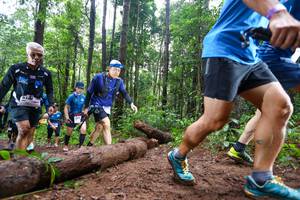 BIB: 
                            <button type="button" onclick="openModal(13466575)" class="btn btn-primary btn-sm float-right btn-popup" data-toggle="modal" data-target=".modal-high-quality">
                        <i class="fas fa-shopping-cart"></i> Add to Cart
                    </button>
                                            <button type="button" onclick="isThisMe(13466575, true)" class="btn btn-success btn-sm float-right btn-popup btn-isme hidden" data-toggle="tooltip" data-placement="bottom" title="นี่คือรูปของคุณใช่ไหม คลิกที่นี่เพื่อเอาเข้าอัลบั้ม">
                        <i class="fas fa-plus"></i> Add to album
                    </button>
                    <button type="button" onclick="isThisMe(13466575, false)" class="btn btn-warning btn-sm float-right btn-popup btn-isnotme hidden">
                        <i class="fas fa-ban"></i> Remove from album
                    </button>