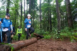 BIB: 8047
                            <button type="button" onclick="openModal(13467111)" class="btn btn-primary btn-sm float-right btn-popup" data-toggle="modal" data-target=".modal-high-quality">
                        <i class="fas fa-shopping-cart"></i> Add to Cart
                    </button>
                                            <button type="button" onclick="isThisMe(13467111, true)" class="btn btn-success btn-sm float-right btn-popup btn-isme hidden" data-toggle="tooltip" data-placement="bottom" title="นี่คือรูปของคุณใช่ไหม คลิกที่นี่เพื่อเอาเข้าอัลบั้ม">
                        <i class="fas fa-plus"></i> Add to album
                    </button>
                    <button type="button" onclick="isThisMe(13467111, false)" class="btn btn-warning btn-sm float-right btn-popup btn-isnotme hidden">
                        <i class="fas fa-ban"></i> Remove from album
                    </button>