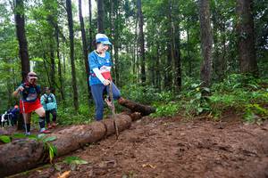 BIB: 
                            <button type="button" onclick="openModal(13467055)" class="btn btn-primary btn-sm float-right btn-popup" data-toggle="modal" data-target=".modal-high-quality">
                        <i class="fas fa-shopping-cart"></i> Add to Cart
                    </button>
                                            <button type="button" onclick="isThisMe(13467055, true)" class="btn btn-success btn-sm float-right btn-popup btn-isme hidden" data-toggle="tooltip" data-placement="bottom" title="นี่คือรูปของคุณใช่ไหม คลิกที่นี่เพื่อเอาเข้าอัลบั้ม">
                        <i class="fas fa-plus"></i> Add to album
                    </button>
                    <button type="button" onclick="isThisMe(13467055, false)" class="btn btn-warning btn-sm float-right btn-popup btn-isnotme hidden">
                        <i class="fas fa-ban"></i> Remove from album
                    </button>