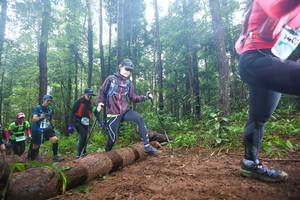 BIB: 1440
                            <button type="button" onclick="openModal(13465923)" class="btn btn-primary btn-sm float-right btn-popup" data-toggle="modal" data-target=".modal-high-quality">
                        <i class="fas fa-shopping-cart"></i> Add to Cart
                    </button>
                                            <button type="button" onclick="isThisMe(13465923, true)" class="btn btn-success btn-sm float-right btn-popup btn-isme hidden" data-toggle="tooltip" data-placement="bottom" title="นี่คือรูปของคุณใช่ไหม คลิกที่นี่เพื่อเอาเข้าอัลบั้ม">
                        <i class="fas fa-plus"></i> Add to album
                    </button>
                    <button type="button" onclick="isThisMe(13465923, false)" class="btn btn-warning btn-sm float-right btn-popup btn-isnotme hidden">
                        <i class="fas fa-ban"></i> Remove from album
                    </button>