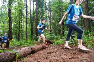 BIB: 8095
                            <button type="button" onclick="openModal(13466522)" class="btn btn-primary btn-sm float-right btn-popup" data-toggle="modal" data-target=".modal-high-quality">
                        <i class="fas fa-shopping-cart"></i> Add to Cart
                    </button>
                                            <button type="button" onclick="isThisMe(13466522, true)" class="btn btn-success btn-sm float-right btn-popup btn-isme hidden" data-toggle="tooltip" data-placement="bottom" title="นี่คือรูปของคุณใช่ไหม คลิกที่นี่เพื่อเอาเข้าอัลบั้ม">
                        <i class="fas fa-plus"></i> Add to album
                    </button>
                    <button type="button" onclick="isThisMe(13466522, false)" class="btn btn-warning btn-sm float-right btn-popup btn-isnotme hidden">
                        <i class="fas fa-ban"></i> Remove from album
                    </button>