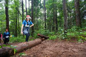 BIB: 
                            <button type="button" onclick="openModal(13466729)" class="btn btn-primary btn-sm float-right btn-popup" data-toggle="modal" data-target=".modal-high-quality">
                        <i class="fas fa-shopping-cart"></i> Add to Cart
                    </button>
                                            <button type="button" onclick="isThisMe(13466729, true)" class="btn btn-success btn-sm float-right btn-popup btn-isme hidden" data-toggle="tooltip" data-placement="bottom" title="นี่คือรูปของคุณใช่ไหม คลิกที่นี่เพื่อเอาเข้าอัลบั้ม">
                        <i class="fas fa-plus"></i> Add to album
                    </button>
                    <button type="button" onclick="isThisMe(13466729, false)" class="btn btn-warning btn-sm float-right btn-popup btn-isnotme hidden">
                        <i class="fas fa-ban"></i> Remove from album
                    </button>