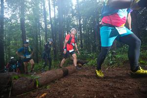 BIB: 146
                            <button type="button" onclick="openModal(13466115)" class="btn btn-primary btn-sm float-right btn-popup" data-toggle="modal" data-target=".modal-high-quality">
                        <i class="fas fa-shopping-cart"></i> Add to Cart
                    </button>
                                            <button type="button" onclick="isThisMe(13466115, true)" class="btn btn-success btn-sm float-right btn-popup btn-isme hidden" data-toggle="tooltip" data-placement="bottom" title="นี่คือรูปของคุณใช่ไหม คลิกที่นี่เพื่อเอาเข้าอัลบั้ม">
                        <i class="fas fa-plus"></i> Add to album
                    </button>
                    <button type="button" onclick="isThisMe(13466115, false)" class="btn btn-warning btn-sm float-right btn-popup btn-isnotme hidden">
                        <i class="fas fa-ban"></i> Remove from album
                    </button>