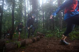 BIB: 
                            <button type="button" onclick="openModal(13465703)" class="btn btn-primary btn-sm float-right btn-popup" data-toggle="modal" data-target=".modal-high-quality">
                        <i class="fas fa-shopping-cart"></i> Add to Cart
                    </button>
                                            <button type="button" onclick="isThisMe(13465703, true)" class="btn btn-success btn-sm float-right btn-popup btn-isme hidden" data-toggle="tooltip" data-placement="bottom" title="นี่คือรูปของคุณใช่ไหม คลิกที่นี่เพื่อเอาเข้าอัลบั้ม">
                        <i class="fas fa-plus"></i> Add to album
                    </button>
                    <button type="button" onclick="isThisMe(13465703, false)" class="btn btn-warning btn-sm float-right btn-popup btn-isnotme hidden">
                        <i class="fas fa-ban"></i> Remove from album
                    </button>