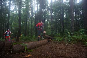 BIB: 
                            <button type="button" onclick="openModal(13465584)" class="btn btn-primary btn-sm float-right btn-popup" data-toggle="modal" data-target=".modal-high-quality">
                        <i class="fas fa-shopping-cart"></i> Add to Cart
                    </button>
                                            <button type="button" onclick="isThisMe(13465584, true)" class="btn btn-success btn-sm float-right btn-popup btn-isme hidden" data-toggle="tooltip" data-placement="bottom" title="นี่คือรูปของคุณใช่ไหม คลิกที่นี่เพื่อเอาเข้าอัลบั้ม">
                        <i class="fas fa-plus"></i> Add to album
                    </button>
                    <button type="button" onclick="isThisMe(13465584, false)" class="btn btn-warning btn-sm float-right btn-popup btn-isnotme hidden">
                        <i class="fas fa-ban"></i> Remove from album
                    </button>