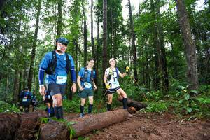 BIB: 1512
                            <button type="button" onclick="openModal(13466138)" class="btn btn-primary btn-sm float-right btn-popup" data-toggle="modal" data-target=".modal-high-quality">
                        <i class="fas fa-shopping-cart"></i> Add to Cart
                    </button>
                                            <button type="button" onclick="isThisMe(13466138, true)" class="btn btn-success btn-sm float-right btn-popup btn-isme hidden" data-toggle="tooltip" data-placement="bottom" title="นี่คือรูปของคุณใช่ไหม คลิกที่นี่เพื่อเอาเข้าอัลบั้ม">
                        <i class="fas fa-plus"></i> Add to album
                    </button>
                    <button type="button" onclick="isThisMe(13466138, false)" class="btn btn-warning btn-sm float-right btn-popup btn-isnotme hidden">
                        <i class="fas fa-ban"></i> Remove from album
                    </button>