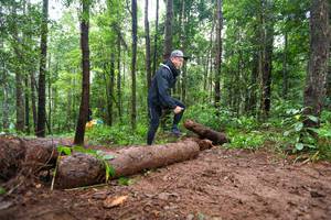 BIB: 
                            <button type="button" onclick="openModal(13466351)" class="btn btn-primary btn-sm float-right btn-popup" data-toggle="modal" data-target=".modal-high-quality">
                        <i class="fas fa-shopping-cart"></i> Add to Cart
                    </button>
                                            <button type="button" onclick="isThisMe(13466351, true)" class="btn btn-success btn-sm float-right btn-popup btn-isme hidden" data-toggle="tooltip" data-placement="bottom" title="นี่คือรูปของคุณใช่ไหม คลิกที่นี่เพื่อเอาเข้าอัลบั้ม">
                        <i class="fas fa-plus"></i> Add to album
                    </button>
                    <button type="button" onclick="isThisMe(13466351, false)" class="btn btn-warning btn-sm float-right btn-popup btn-isnotme hidden">
                        <i class="fas fa-ban"></i> Remove from album
                    </button>