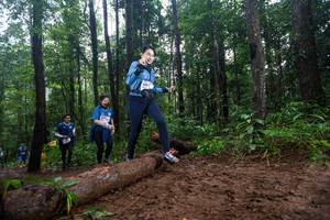 BIB: 
                            <button type="button" onclick="openModal(13458458)" class="btn btn-primary btn-sm float-right btn-popup" data-toggle="modal" data-target=".modal-high-quality">
                        <i class="fas fa-shopping-cart"></i> Add to Cart
                    </button>
                                            <button type="button" onclick="isThisMe(13458458, true)" class="btn btn-success btn-sm float-right btn-popup btn-isme hidden" data-toggle="tooltip" data-placement="bottom" title="นี่คือรูปของคุณใช่ไหม คลิกที่นี่เพื่อเอาเข้าอัลบั้ม">
                        <i class="fas fa-plus"></i> Add to album
                    </button>
                    <button type="button" onclick="isThisMe(13458458, false)" class="btn btn-warning btn-sm float-right btn-popup btn-isnotme hidden">
                        <i class="fas fa-ban"></i> Remove from album
                    </button>