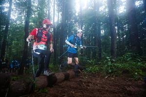 BIB: 1528
                            <button type="button" onclick="openModal(13465679)" class="btn btn-primary btn-sm float-right btn-popup" data-toggle="modal" data-target=".modal-high-quality">
                        <i class="fas fa-shopping-cart"></i> Add to Cart
                    </button>
                                            <button type="button" onclick="isThisMe(13465679, true)" class="btn btn-success btn-sm float-right btn-popup btn-isme hidden" data-toggle="tooltip" data-placement="bottom" title="นี่คือรูปของคุณใช่ไหม คลิกที่นี่เพื่อเอาเข้าอัลบั้ม">
                        <i class="fas fa-plus"></i> Add to album
                    </button>
                    <button type="button" onclick="isThisMe(13465679, false)" class="btn btn-warning btn-sm float-right btn-popup btn-isnotme hidden">
                        <i class="fas fa-ban"></i> Remove from album
                    </button>