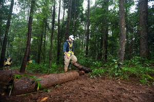 BIB: 
                            <button type="button" onclick="openModal(13466264)" class="btn btn-primary btn-sm float-right btn-popup" data-toggle="modal" data-target=".modal-high-quality">
                        <i class="fas fa-shopping-cart"></i> Add to Cart
                    </button>
                                            <button type="button" onclick="isThisMe(13466264, true)" class="btn btn-success btn-sm float-right btn-popup btn-isme hidden" data-toggle="tooltip" data-placement="bottom" title="นี่คือรูปของคุณใช่ไหม คลิกที่นี่เพื่อเอาเข้าอัลบั้ม">
                        <i class="fas fa-plus"></i> Add to album
                    </button>
                    <button type="button" onclick="isThisMe(13466264, false)" class="btn btn-warning btn-sm float-right btn-popup btn-isnotme hidden">
                        <i class="fas fa-ban"></i> Remove from album
                    </button>