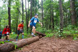 BIB: 
                            <button type="button" onclick="openModal(13466502)" class="btn btn-primary btn-sm float-right btn-popup" data-toggle="modal" data-target=".modal-high-quality">
                        <i class="fas fa-shopping-cart"></i> Add to Cart
                    </button>
                                            <button type="button" onclick="isThisMe(13466502, true)" class="btn btn-success btn-sm float-right btn-popup btn-isme hidden" data-toggle="tooltip" data-placement="bottom" title="นี่คือรูปของคุณใช่ไหม คลิกที่นี่เพื่อเอาเข้าอัลบั้ม">
                        <i class="fas fa-plus"></i> Add to album
                    </button>
                    <button type="button" onclick="isThisMe(13466502, false)" class="btn btn-warning btn-sm float-right btn-popup btn-isnotme hidden">
                        <i class="fas fa-ban"></i> Remove from album
                    </button>