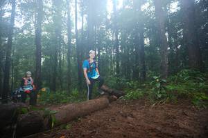 BIB: 
                            <button type="button" onclick="openModal(13466131)" class="btn btn-primary btn-sm float-right btn-popup" data-toggle="modal" data-target=".modal-high-quality">
                        <i class="fas fa-shopping-cart"></i> Add to Cart
                    </button>
                                            <button type="button" onclick="isThisMe(13466131, true)" class="btn btn-success btn-sm float-right btn-popup btn-isme hidden" data-toggle="tooltip" data-placement="bottom" title="นี่คือรูปของคุณใช่ไหม คลิกที่นี่เพื่อเอาเข้าอัลบั้ม">
                        <i class="fas fa-plus"></i> Add to album
                    </button>
                    <button type="button" onclick="isThisMe(13466131, false)" class="btn btn-warning btn-sm float-right btn-popup btn-isnotme hidden">
                        <i class="fas fa-ban"></i> Remove from album
                    </button>