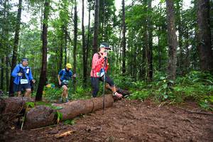 BIB: 
                            <button type="button" onclick="openModal(13465981)" class="btn btn-primary btn-sm float-right btn-popup" data-toggle="modal" data-target=".modal-high-quality">
                        <i class="fas fa-shopping-cart"></i> Add to Cart
                    </button>
                                            <button type="button" onclick="isThisMe(13465981, true)" class="btn btn-success btn-sm float-right btn-popup btn-isme hidden" data-toggle="tooltip" data-placement="bottom" title="นี่คือรูปของคุณใช่ไหม คลิกที่นี่เพื่อเอาเข้าอัลบั้ม">
                        <i class="fas fa-plus"></i> Add to album
                    </button>
                    <button type="button" onclick="isThisMe(13465981, false)" class="btn btn-warning btn-sm float-right btn-popup btn-isnotme hidden">
                        <i class="fas fa-ban"></i> Remove from album
                    </button>