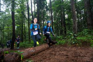 BIB: 
                            <button type="button" onclick="openModal(13458479)" class="btn btn-primary btn-sm float-right btn-popup" data-toggle="modal" data-target=".modal-high-quality">
                        <i class="fas fa-shopping-cart"></i> Add to Cart
                    </button>
                                            <button type="button" onclick="isThisMe(13458479, true)" class="btn btn-success btn-sm float-right btn-popup btn-isme hidden" data-toggle="tooltip" data-placement="bottom" title="นี่คือรูปของคุณใช่ไหม คลิกที่นี่เพื่อเอาเข้าอัลบั้ม">
                        <i class="fas fa-plus"></i> Add to album
                    </button>
                    <button type="button" onclick="isThisMe(13458479, false)" class="btn btn-warning btn-sm float-right btn-popup btn-isnotme hidden">
                        <i class="fas fa-ban"></i> Remove from album
                    </button>