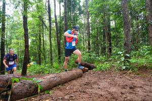 BIB: 
                            <button type="button" onclick="openModal(13466379)" class="btn btn-primary btn-sm float-right btn-popup" data-toggle="modal" data-target=".modal-high-quality">
                        <i class="fas fa-shopping-cart"></i> Add to Cart
                    </button>
                                            <button type="button" onclick="isThisMe(13466379, true)" class="btn btn-success btn-sm float-right btn-popup btn-isme hidden" data-toggle="tooltip" data-placement="bottom" title="นี่คือรูปของคุณใช่ไหม คลิกที่นี่เพื่อเอาเข้าอัลบั้ม">
                        <i class="fas fa-plus"></i> Add to album
                    </button>
                    <button type="button" onclick="isThisMe(13466379, false)" class="btn btn-warning btn-sm float-right btn-popup btn-isnotme hidden">
                        <i class="fas fa-ban"></i> Remove from album
                    </button>