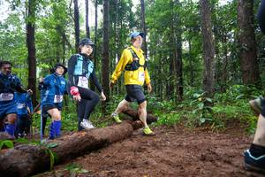 BIB: 
                            <button type="button" onclick="openModal(13466798)" class="btn btn-primary btn-sm float-right btn-popup" data-toggle="modal" data-target=".modal-high-quality">
                        <i class="fas fa-shopping-cart"></i> Add to Cart
                    </button>
                                            <button type="button" onclick="isThisMe(13466798, true)" class="btn btn-success btn-sm float-right btn-popup btn-isme hidden" data-toggle="tooltip" data-placement="bottom" title="นี่คือรูปของคุณใช่ไหม คลิกที่นี่เพื่อเอาเข้าอัลบั้ม">
                        <i class="fas fa-plus"></i> Add to album
                    </button>
                    <button type="button" onclick="isThisMe(13466798, false)" class="btn btn-warning btn-sm float-right btn-popup btn-isnotme hidden">
                        <i class="fas fa-ban"></i> Remove from album
                    </button>