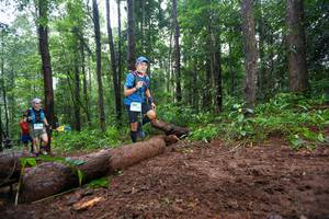 BIB: 
                            <button type="button" onclick="openModal(13465250)" class="btn btn-primary btn-sm float-right btn-popup" data-toggle="modal" data-target=".modal-high-quality">
                        <i class="fas fa-shopping-cart"></i> Add to Cart
                    </button>
                                            <button type="button" onclick="isThisMe(13465250, true)" class="btn btn-success btn-sm float-right btn-popup btn-isme hidden" data-toggle="tooltip" data-placement="bottom" title="นี่คือรูปของคุณใช่ไหม คลิกที่นี่เพื่อเอาเข้าอัลบั้ม">
                        <i class="fas fa-plus"></i> Add to album
                    </button>
                    <button type="button" onclick="isThisMe(13465250, false)" class="btn btn-warning btn-sm float-right btn-popup btn-isnotme hidden">
                        <i class="fas fa-ban"></i> Remove from album
                    </button>