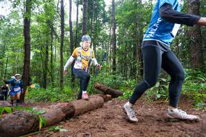 BIB: 
                            <button type="button" onclick="openModal(13466678)" class="btn btn-primary btn-sm float-right btn-popup" data-toggle="modal" data-target=".modal-high-quality">
                        <i class="fas fa-shopping-cart"></i> Add to Cart
                    </button>
                                            <button type="button" onclick="isThisMe(13466678, true)" class="btn btn-success btn-sm float-right btn-popup btn-isme hidden" data-toggle="tooltip" data-placement="bottom" title="นี่คือรูปของคุณใช่ไหม คลิกที่นี่เพื่อเอาเข้าอัลบั้ม">
                        <i class="fas fa-plus"></i> Add to album
                    </button>
                    <button type="button" onclick="isThisMe(13466678, false)" class="btn btn-warning btn-sm float-right btn-popup btn-isnotme hidden">
                        <i class="fas fa-ban"></i> Remove from album
                    </button>