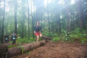 BIB: 
                            <button type="button" onclick="openModal(13465955)" class="btn btn-primary btn-sm float-right btn-popup" data-toggle="modal" data-target=".modal-high-quality">
                        <i class="fas fa-shopping-cart"></i> Add to Cart
                    </button>
                                            <button type="button" onclick="isThisMe(13465955, true)" class="btn btn-success btn-sm float-right btn-popup btn-isme hidden" data-toggle="tooltip" data-placement="bottom" title="นี่คือรูปของคุณใช่ไหม คลิกที่นี่เพื่อเอาเข้าอัลบั้ม">
                        <i class="fas fa-plus"></i> Add to album
                    </button>
                    <button type="button" onclick="isThisMe(13465955, false)" class="btn btn-warning btn-sm float-right btn-popup btn-isnotme hidden">
                        <i class="fas fa-ban"></i> Remove from album
                    </button>