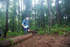 BIB: 
                            <button type="button" onclick="openModal(13466191)" class="btn btn-primary btn-sm float-right btn-popup" data-toggle="modal" data-target=".modal-high-quality">
                        <i class="fas fa-shopping-cart"></i> Add to Cart
                    </button>
                                            <button type="button" onclick="isThisMe(13466191, true)" class="btn btn-success btn-sm float-right btn-popup btn-isme hidden" data-toggle="tooltip" data-placement="bottom" title="นี่คือรูปของคุณใช่ไหม คลิกที่นี่เพื่อเอาเข้าอัลบั้ม">
                        <i class="fas fa-plus"></i> Add to album
                    </button>
                    <button type="button" onclick="isThisMe(13466191, false)" class="btn btn-warning btn-sm float-right btn-popup btn-isnotme hidden">
                        <i class="fas fa-ban"></i> Remove from album
                    </button>