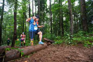 BIB: 
                            <button type="button" onclick="openModal(13466169)" class="btn btn-primary btn-sm float-right btn-popup" data-toggle="modal" data-target=".modal-high-quality">
                        <i class="fas fa-shopping-cart"></i> Add to Cart
                    </button>
                                            <button type="button" onclick="isThisMe(13466169, true)" class="btn btn-success btn-sm float-right btn-popup btn-isme hidden" data-toggle="tooltip" data-placement="bottom" title="นี่คือรูปของคุณใช่ไหม คลิกที่นี่เพื่อเอาเข้าอัลบั้ม">
                        <i class="fas fa-plus"></i> Add to album
                    </button>
                    <button type="button" onclick="isThisMe(13466169, false)" class="btn btn-warning btn-sm float-right btn-popup btn-isnotme hidden">
                        <i class="fas fa-ban"></i> Remove from album
                    </button>