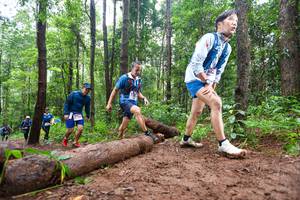 BIB: 
                            <button type="button" onclick="openModal(13466468)" class="btn btn-primary btn-sm float-right btn-popup" data-toggle="modal" data-target=".modal-high-quality">
                        <i class="fas fa-shopping-cart"></i> Add to Cart
                    </button>
                                            <button type="button" onclick="isThisMe(13466468, true)" class="btn btn-success btn-sm float-right btn-popup btn-isme hidden" data-toggle="tooltip" data-placement="bottom" title="นี่คือรูปของคุณใช่ไหม คลิกที่นี่เพื่อเอาเข้าอัลบั้ม">
                        <i class="fas fa-plus"></i> Add to album
                    </button>
                    <button type="button" onclick="isThisMe(13466468, false)" class="btn btn-warning btn-sm float-right btn-popup btn-isnotme hidden">
                        <i class="fas fa-ban"></i> Remove from album
                    </button>