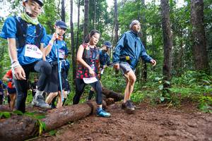 BIB: 
                            <button type="button" onclick="openModal(13466669)" class="btn btn-primary btn-sm float-right btn-popup" data-toggle="modal" data-target=".modal-high-quality">
                        <i class="fas fa-shopping-cart"></i> Add to Cart
                    </button>
                                            <button type="button" onclick="isThisMe(13466669, true)" class="btn btn-success btn-sm float-right btn-popup btn-isme hidden" data-toggle="tooltip" data-placement="bottom" title="นี่คือรูปของคุณใช่ไหม คลิกที่นี่เพื่อเอาเข้าอัลบั้ม">
                        <i class="fas fa-plus"></i> Add to album
                    </button>
                    <button type="button" onclick="isThisMe(13466669, false)" class="btn btn-warning btn-sm float-right btn-popup btn-isnotme hidden">
                        <i class="fas fa-ban"></i> Remove from album
                    </button>