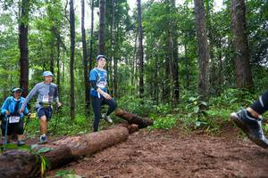 BIB: 
                            <button type="button" onclick="openModal(13466784)" class="btn btn-primary btn-sm float-right btn-popup" data-toggle="modal" data-target=".modal-high-quality">
                        <i class="fas fa-shopping-cart"></i> Add to Cart
                    </button>
                                            <button type="button" onclick="isThisMe(13466784, true)" class="btn btn-success btn-sm float-right btn-popup btn-isme hidden" data-toggle="tooltip" data-placement="bottom" title="นี่คือรูปของคุณใช่ไหม คลิกที่นี่เพื่อเอาเข้าอัลบั้ม">
                        <i class="fas fa-plus"></i> Add to album
                    </button>
                    <button type="button" onclick="isThisMe(13466784, false)" class="btn btn-warning btn-sm float-right btn-popup btn-isnotme hidden">
                        <i class="fas fa-ban"></i> Remove from album
                    </button>