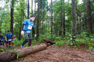 BIB: 
                            <button type="button" onclick="openModal(13466650)" class="btn btn-primary btn-sm float-right btn-popup" data-toggle="modal" data-target=".modal-high-quality">
                        <i class="fas fa-shopping-cart"></i> Add to Cart
                    </button>
                                            <button type="button" onclick="isThisMe(13466650, true)" class="btn btn-success btn-sm float-right btn-popup btn-isme hidden" data-toggle="tooltip" data-placement="bottom" title="นี่คือรูปของคุณใช่ไหม คลิกที่นี่เพื่อเอาเข้าอัลบั้ม">
                        <i class="fas fa-plus"></i> Add to album
                    </button>
                    <button type="button" onclick="isThisMe(13466650, false)" class="btn btn-warning btn-sm float-right btn-popup btn-isnotme hidden">
                        <i class="fas fa-ban"></i> Remove from album
                    </button>