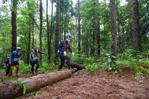 BIB: 
                            <button type="button" onclick="openModal(13466622)" class="btn btn-primary btn-sm float-right btn-popup" data-toggle="modal" data-target=".modal-high-quality">
                        <i class="fas fa-shopping-cart"></i> Add to Cart
                    </button>
                                            <button type="button" onclick="isThisMe(13466622, true)" class="btn btn-success btn-sm float-right btn-popup btn-isme hidden" data-toggle="tooltip" data-placement="bottom" title="นี่คือรูปของคุณใช่ไหม คลิกที่นี่เพื่อเอาเข้าอัลบั้ม">
                        <i class="fas fa-plus"></i> Add to album
                    </button>
                    <button type="button" onclick="isThisMe(13466622, false)" class="btn btn-warning btn-sm float-right btn-popup btn-isnotme hidden">
                        <i class="fas fa-ban"></i> Remove from album
                    </button>